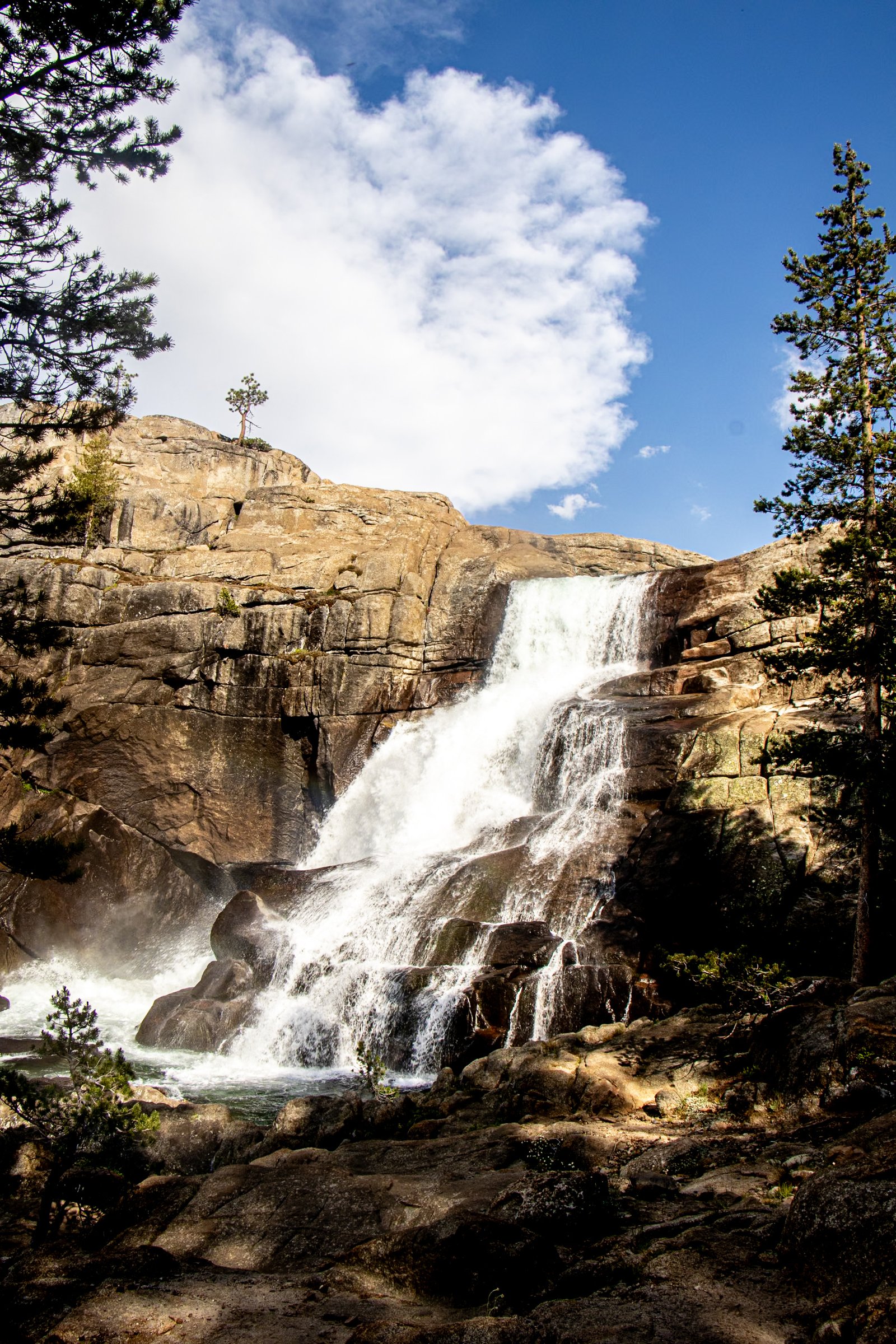 Photo by Harris Campbell